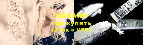 молекула духа Алексеевка