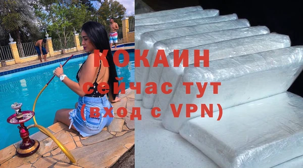 крисы Алзамай