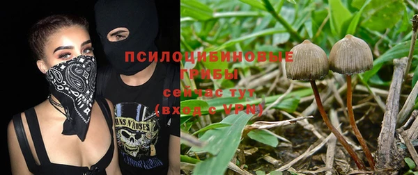 крисы Алзамай
