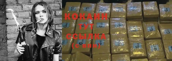 молекула духа Алексеевка