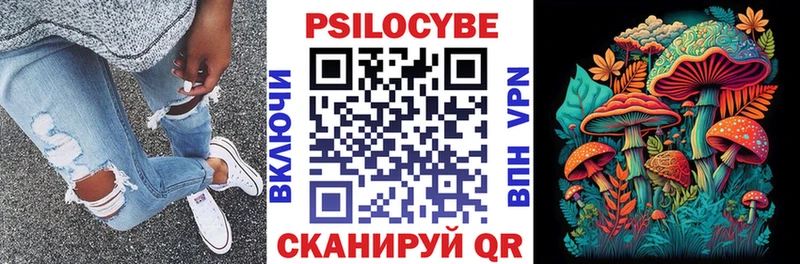 магазин продажи   Николаевск  Псилоцибиновые грибы Psilocybe 